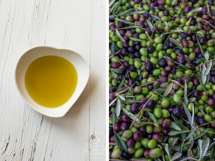 degustacja oliwy z oliwek